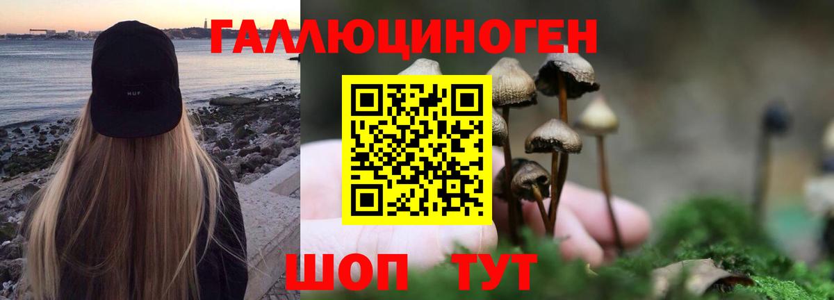 Великий Устюг  Галлюциногенные грибы Magic Shrooms  Вход с VPN 